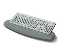 Fujitsu FS KBPC USB US keyboard QWERTY US English Grey