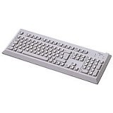 Fujitsu KBPC CX (AR/FR) keyboard PS/2 Grey
