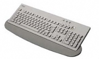 Fujitsu KBPC ID “”INT”” keyboard USB QWERTY Grey