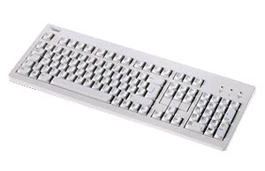 Fujitsu KBPC S2-HK “”DAN”” keyboard PS/2 Grey