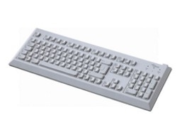 Fujitsu KBPC SX Standard PS/2 (IS) keyboard PS/2 Grey