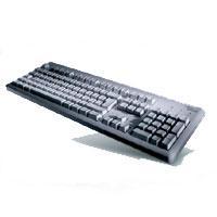 Fujitsu O keyboard PS/2 QWERTY US English Black