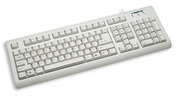 Manhattan Enhanced keyboard Office PS/2 Beige