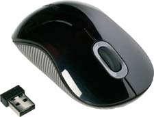 Targus Wireless Comfort Laser mouse RF Wireless 1200 DPI