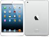 Apple iPad mini Wi-Fi 16 GB Tablet