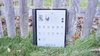 Onyx Boox Tab X C Tablet